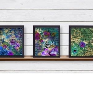 Set of 3 Stunning UNFRAMED Antique Peacock Illustrations Wall Art Prints Writing